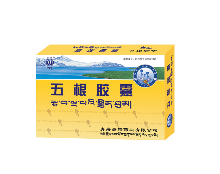 五根膠囊（獨家品種） 五根膠囊（獨家品種）